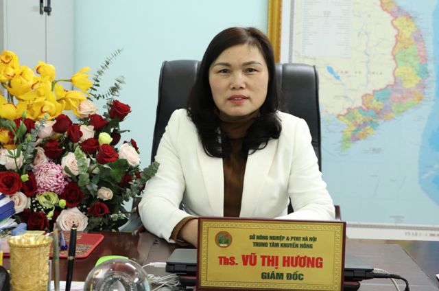 Bà Vũ Thị Hương, Giám đốc Trung tâm Khuyến nông Hà Nội